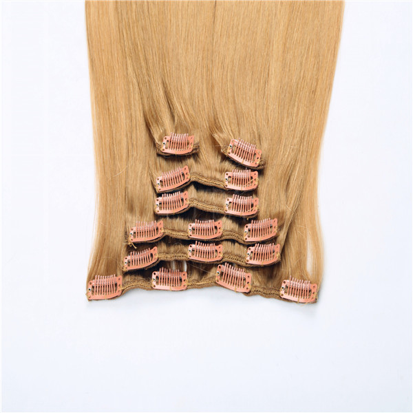 Hot sale cheap human hair long life time clip in hair extensions WJ031